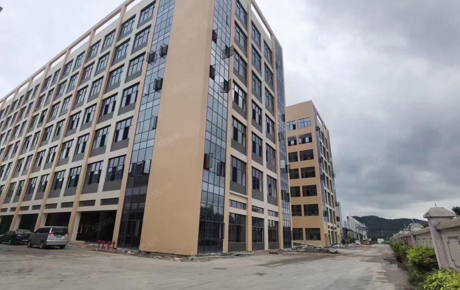 厚街原房东直租2400平方精装修水电齐全全新厂房