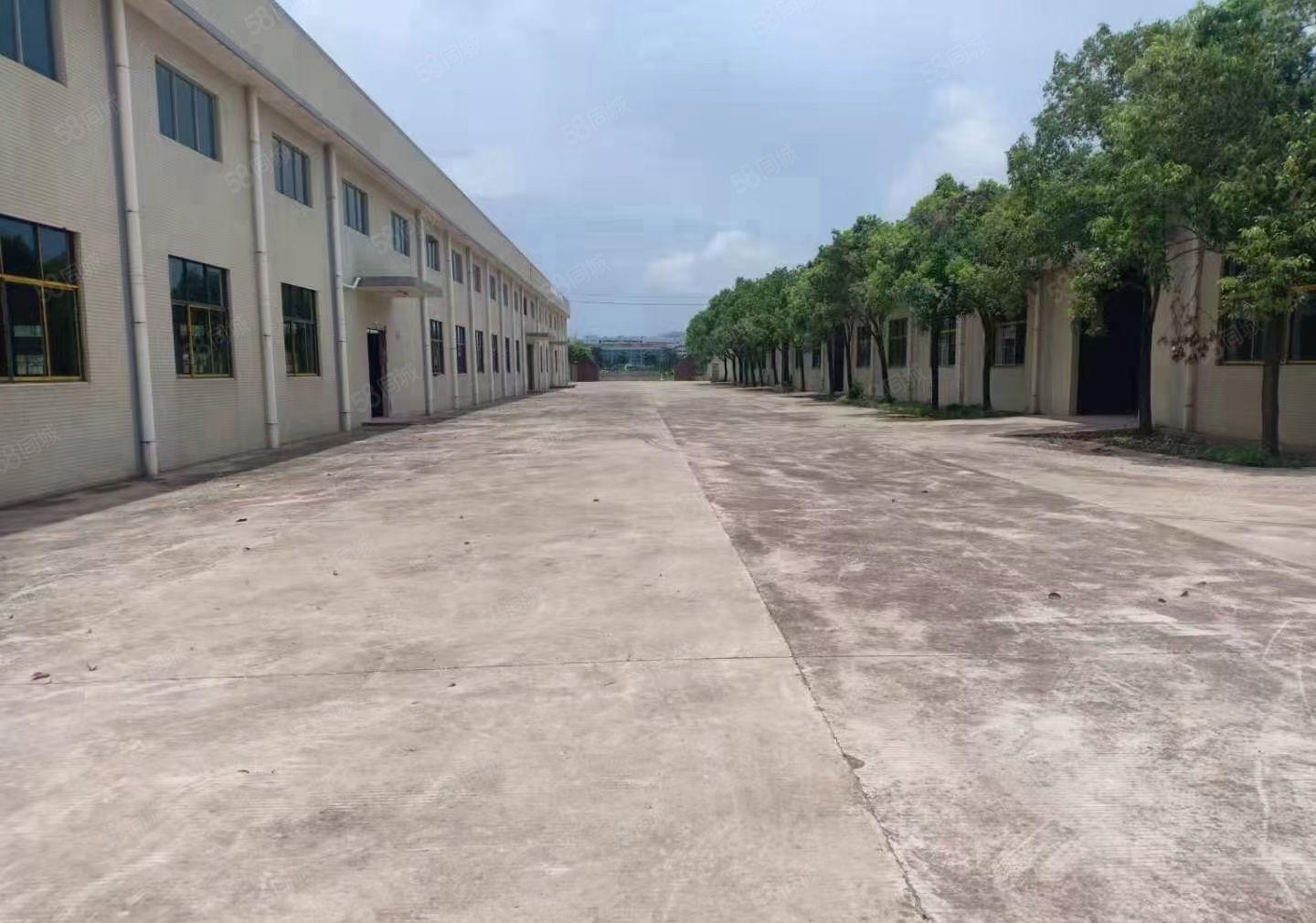 低价独门独院钢构工业厂房仓库出租十米高交通方便周边配套齐全