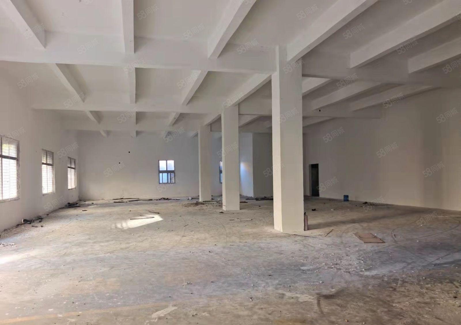 厚街三屯伦品涌大道空出一楼准备厂房2688平方水电齐全