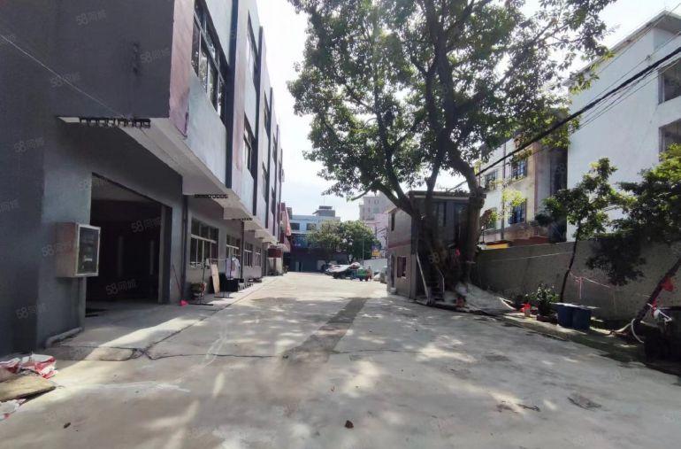 厚街镇新出原房东独门独院标准厂房出租，大小可以分租