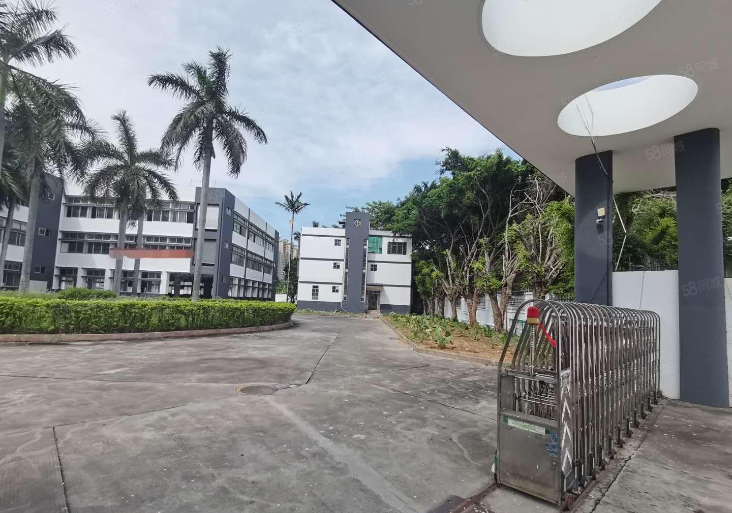 东莞市厚街独门独院标准低价厂房出租空地大带绿化