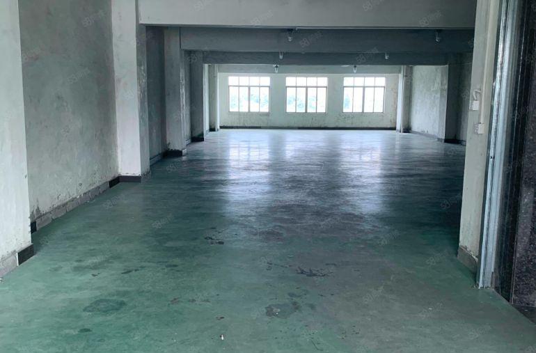 厚街桥头方便卸货电商仓库一层一户350平方带货梯