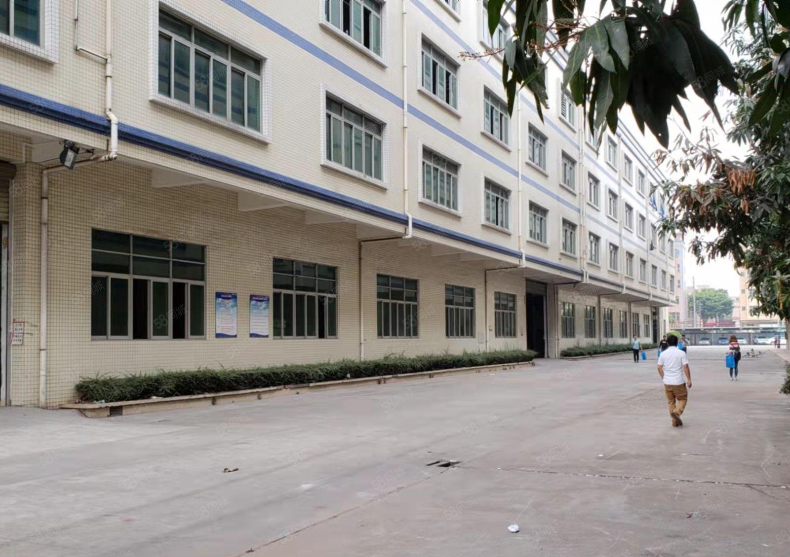 厚街镇精选一千平方工业厂房轻加工小型加工厂房低价出租