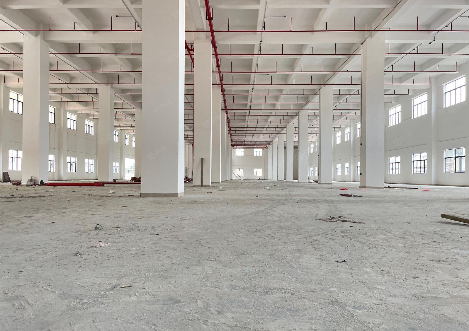 厚街全新独院5000方厂房出租适合注塑五金电子机械可办环评