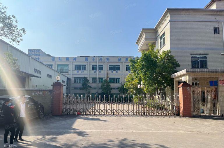 厚街新出原房东独院一楼高度六米带牛角位独栋办公室周边没有居民