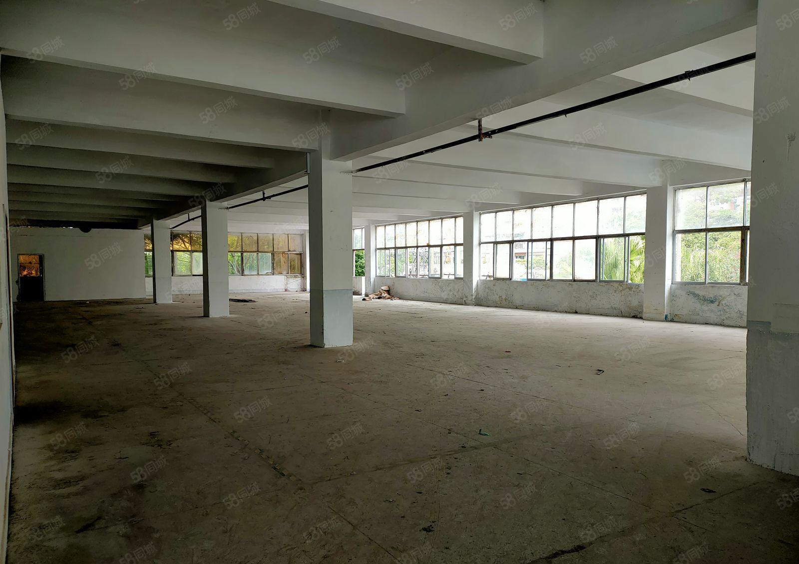 厚街新空出小面积750平，价格低！空地大！