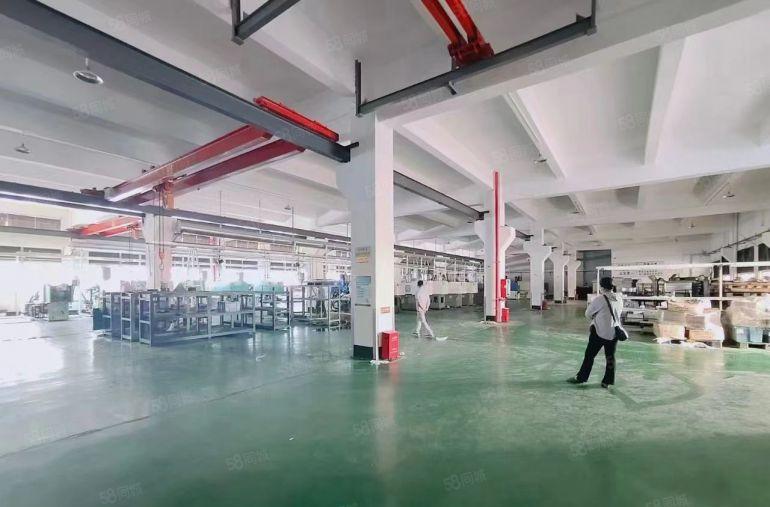 厚街三屯独院7米高厂房仓库一楼1600方仅租20块