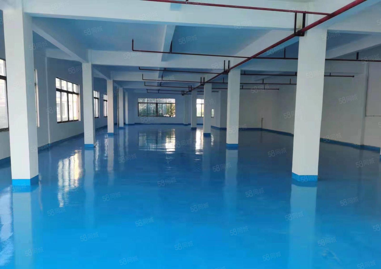 厚街桥头原房东厂房1200平没公摊，2吨货梯，现成地坪漆