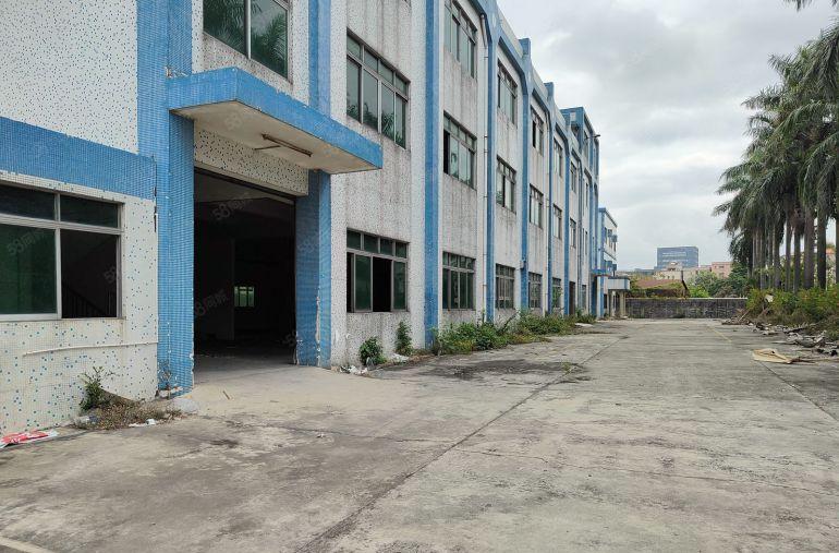 厚街标准独院厂房出租 空地大 适合五金 模具 鞋材 皮革家具