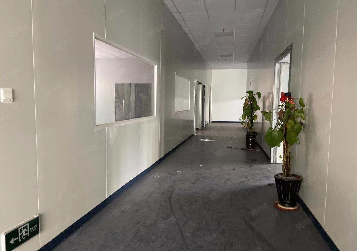 厚街桥头工业区新出钢构滴水12米1800平方大空地精装修厂房