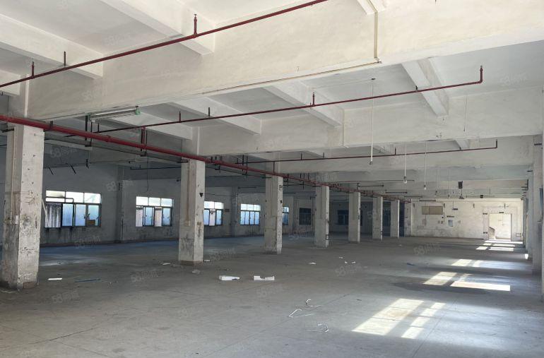 厚街新出原房东标准独院。周边没有居民工业用地形象好空地非常大