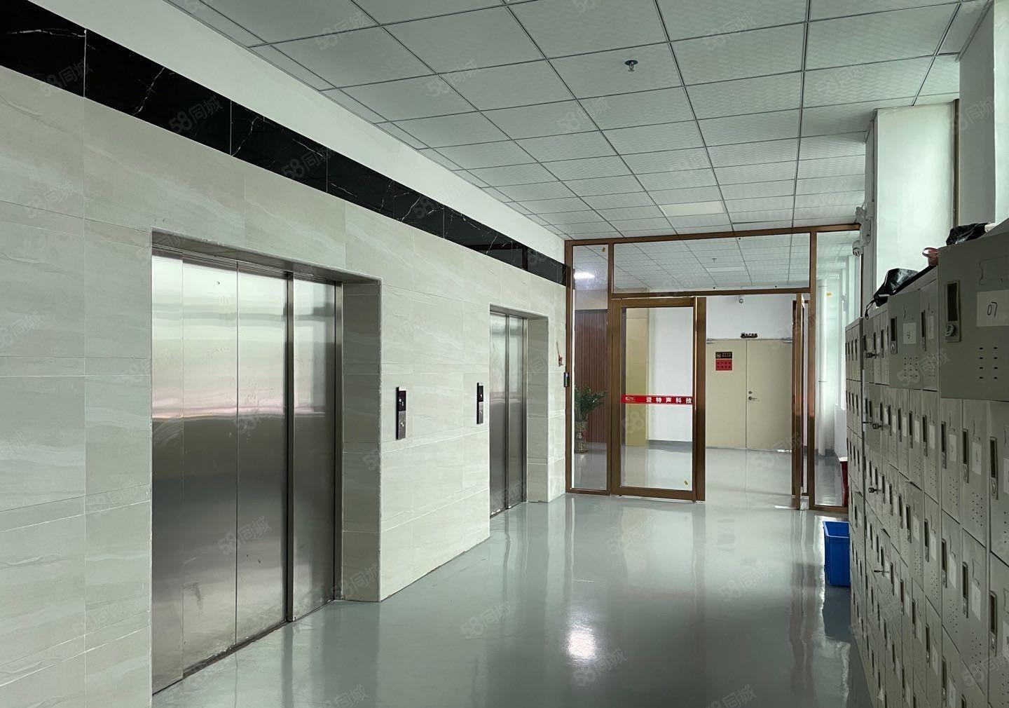 年前钜惠！厚街全新独院21000方厂房出租全新内外装修