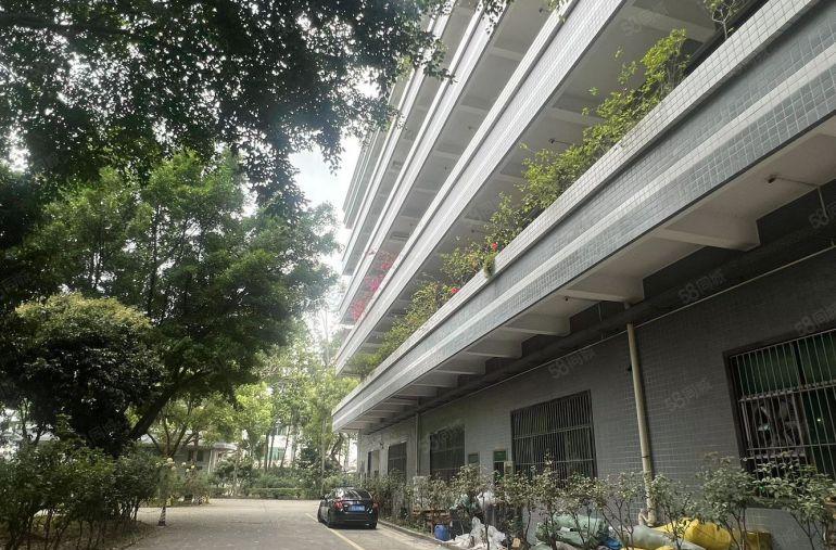 厚街 汀山花园式原房东独院楼上1500平带装修 水电齐全