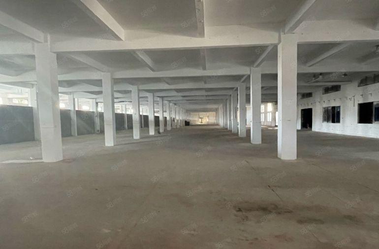 厚街红本（单一层一楼）1万方厂房仓库出租