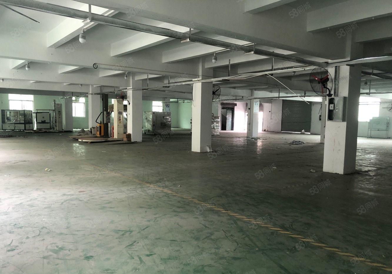 厚街园区厂房出租大小可分，面积3320平