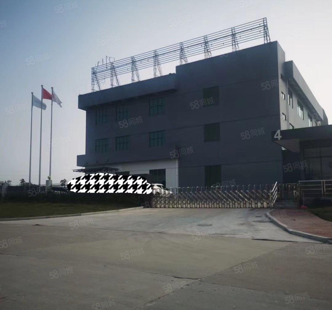 厚街新出独门独院厂房出租现成无尘车间空地大滴水7米