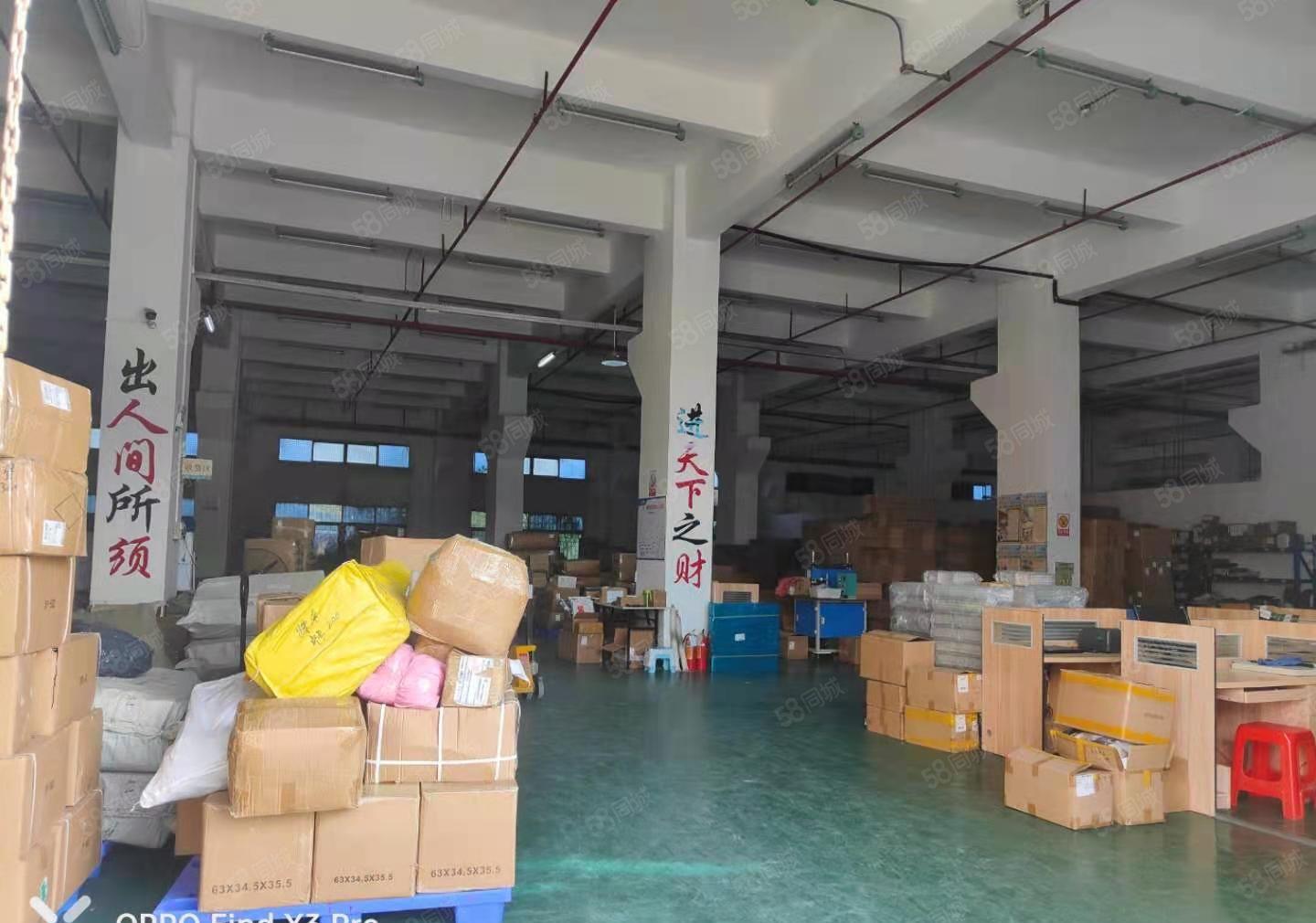 厚街新空出4200平方厂房出租仓库出租可分租1000平方