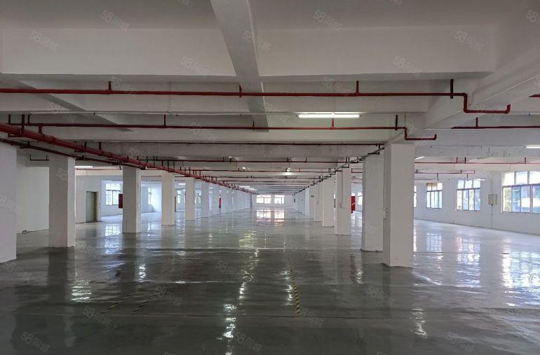 东莞厚街新出原房东标准厂房一二三楼各 1500 平厂房出租