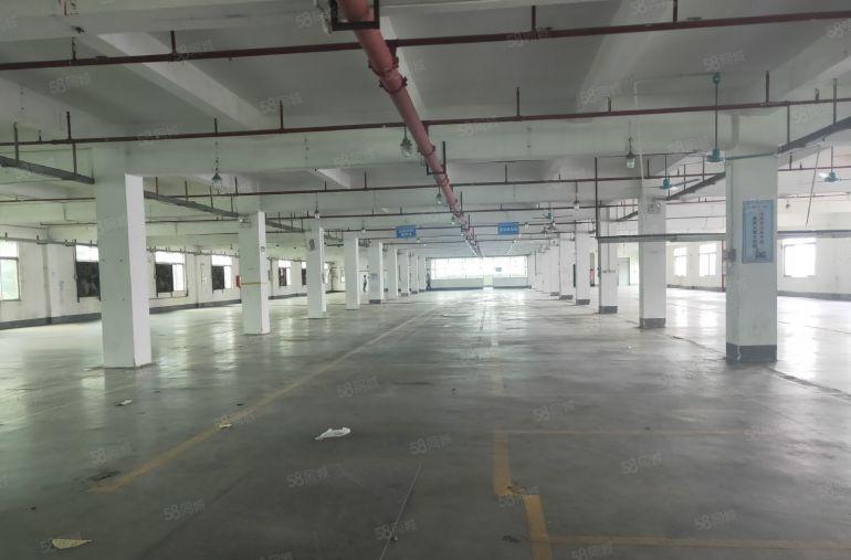 原房东独院1500平方 可做五金压铸注塑机械设备等行业