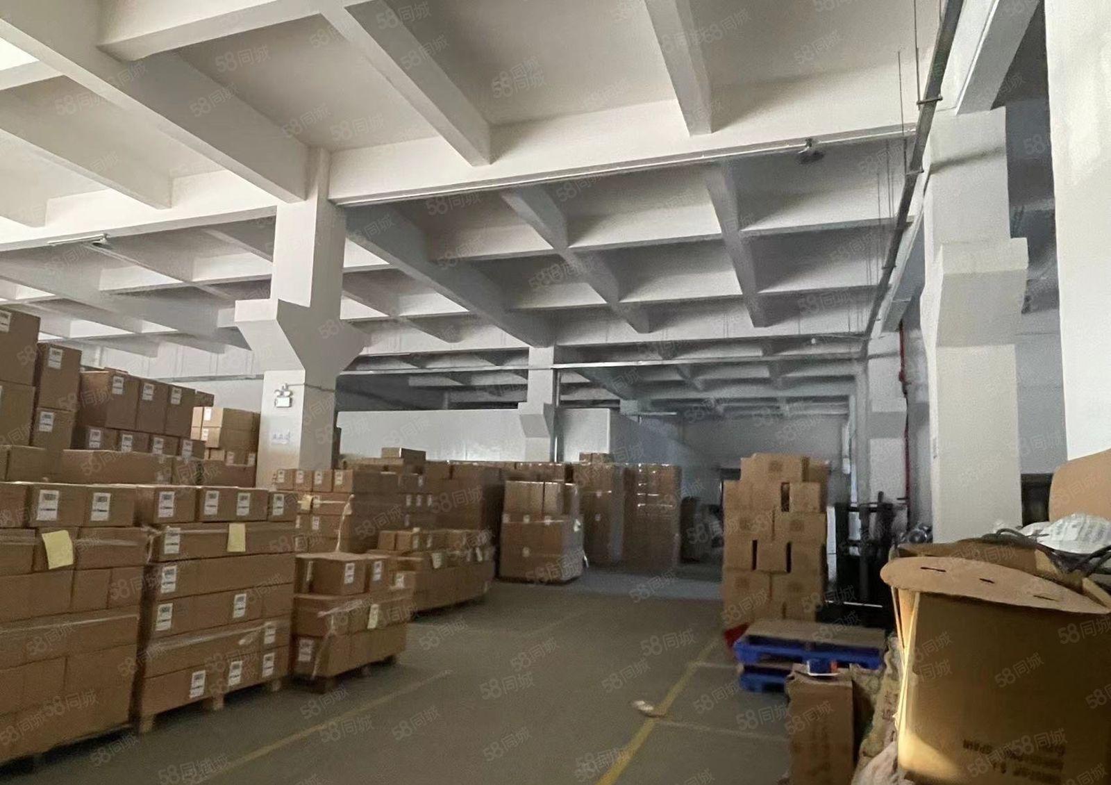 厚街汀山一手房东一楼1500平方高7米带牛角厂房出租超大空地