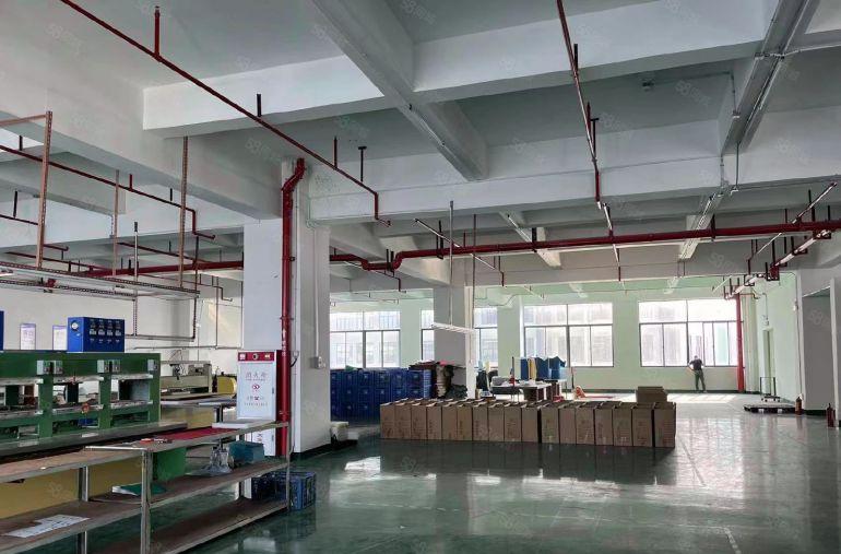 厚街新出溪头原房东1200平方精装修水电齐全实际面积出租