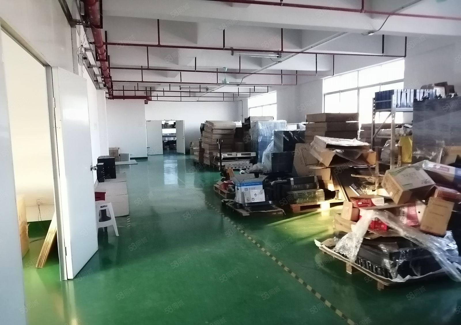 全新地坪漆厂房1350平方，现成精装修办公室个人厂房出租