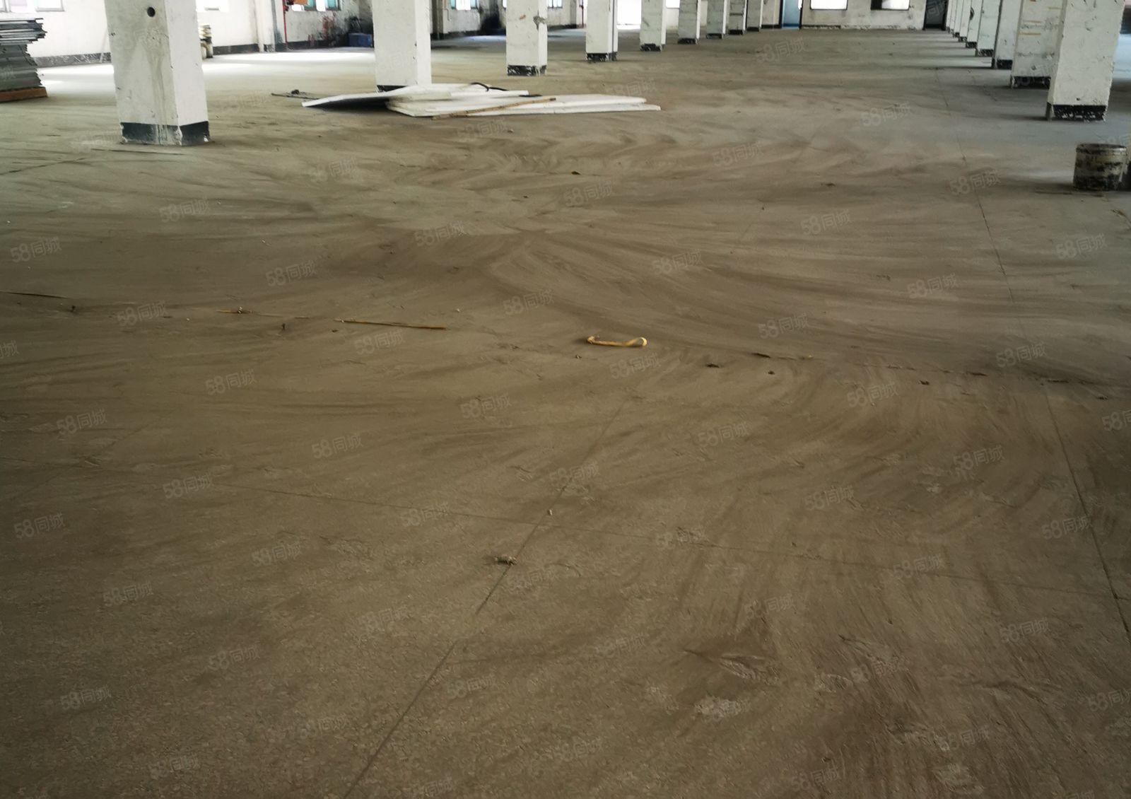 厚街镇独门独院原房东10000平方花园式厂房空地大低价招租