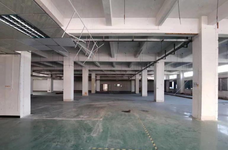 厚街镇原房东实际面积1658平方二楼分租厂房房东用不完分租