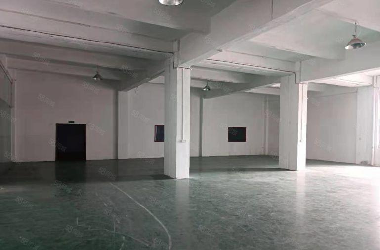 厚街新出一楼1000平精装工业厂房出租仓库出租主线到位空地大