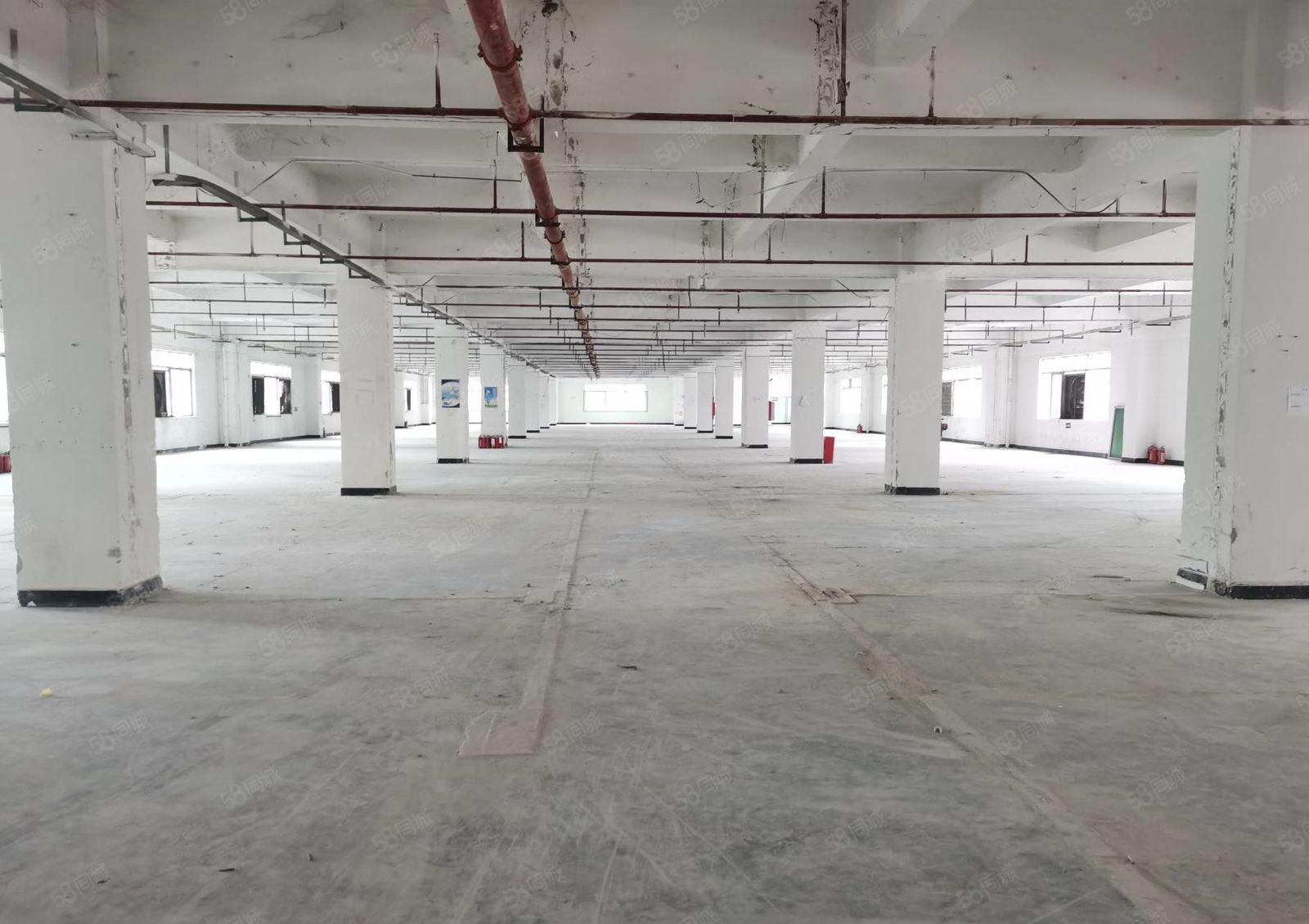 厚街白濠新出独门独院标准厂房可分租，空地免费用，可办环评