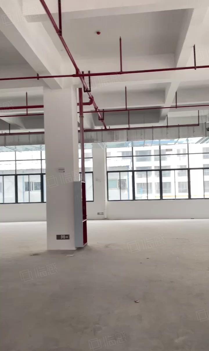 厚街全新独院高新产业园13000方厂房出租配套齐全合同十年