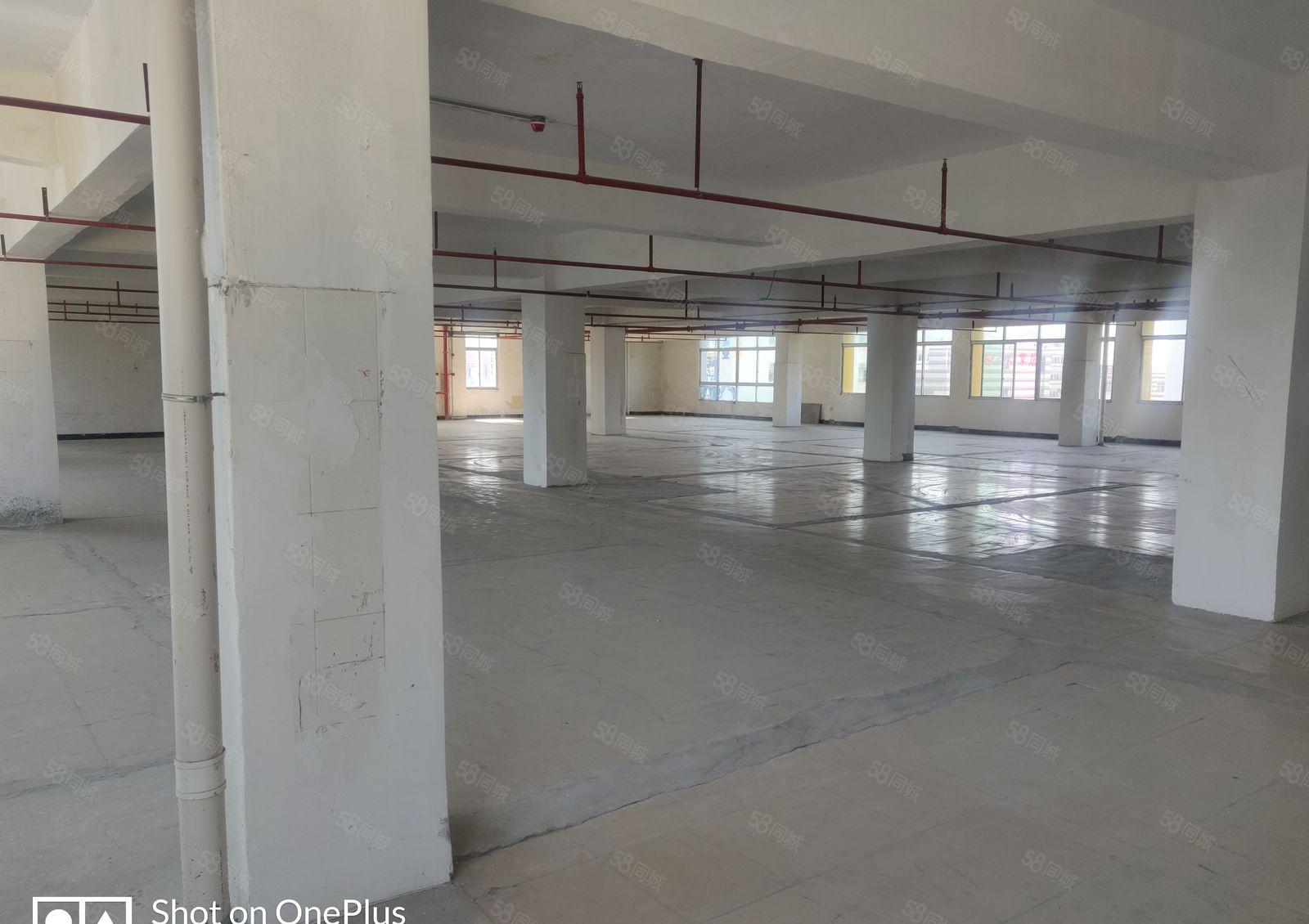 沙塘新空出1600平厂房园区空地大停车位充足能进大车