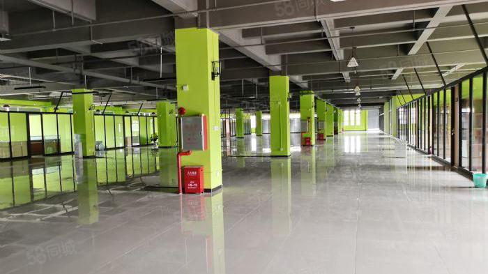 沙田原房东鞋类环评独院厂房11500方招租