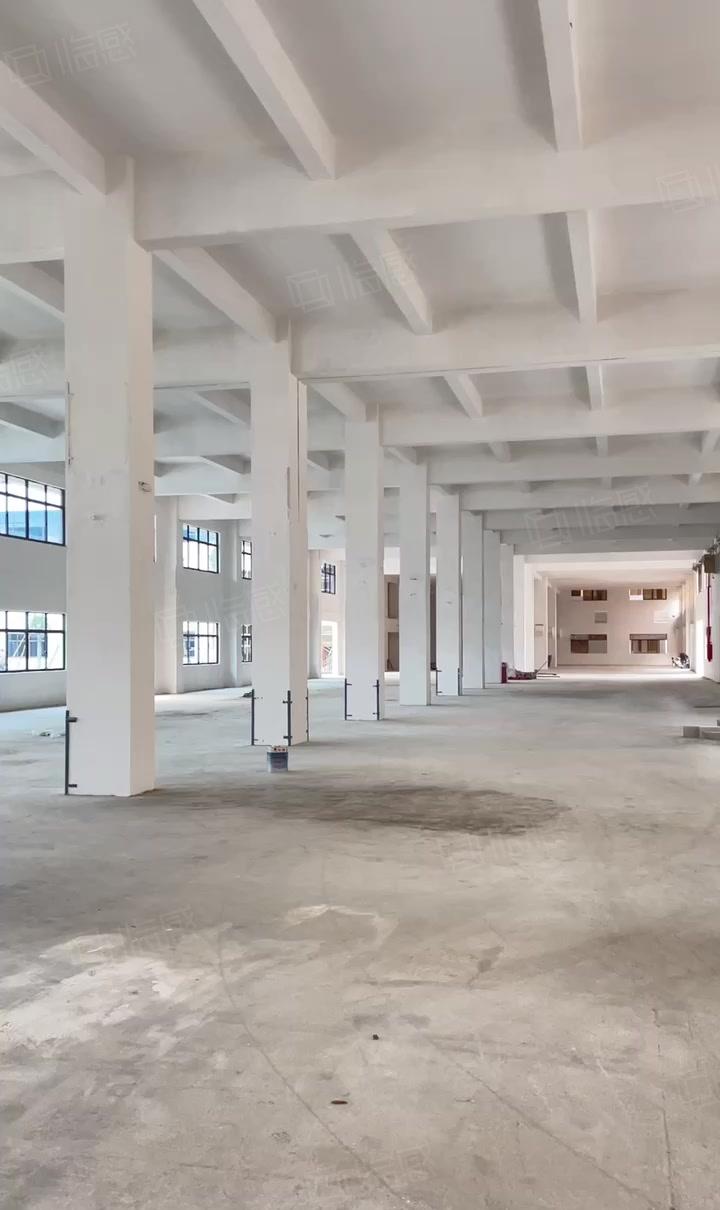 厚街全新独院10000方厂房出租一楼7米适合高端产业