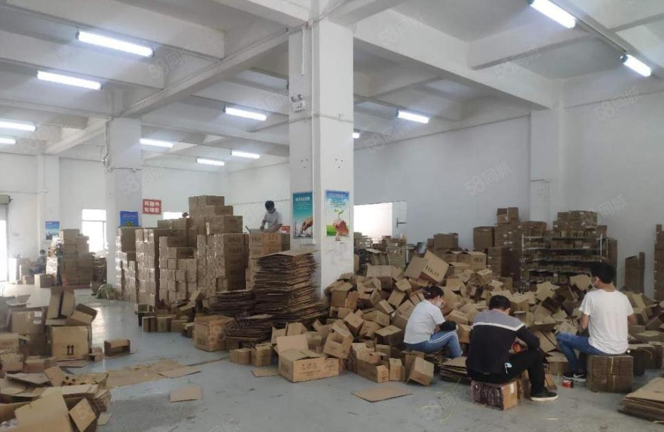 无杂费  厚街原房东出租一楼1200平厂房形象好空地大可分租