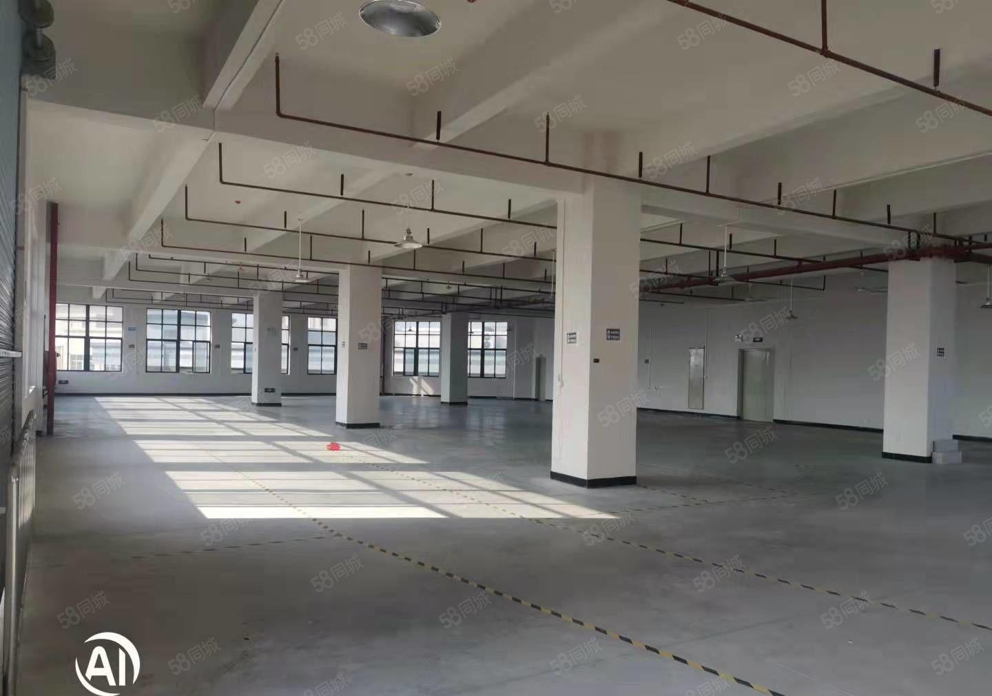 独门独院厂房三层6500平米出租，正规工业厂房，可办环评！