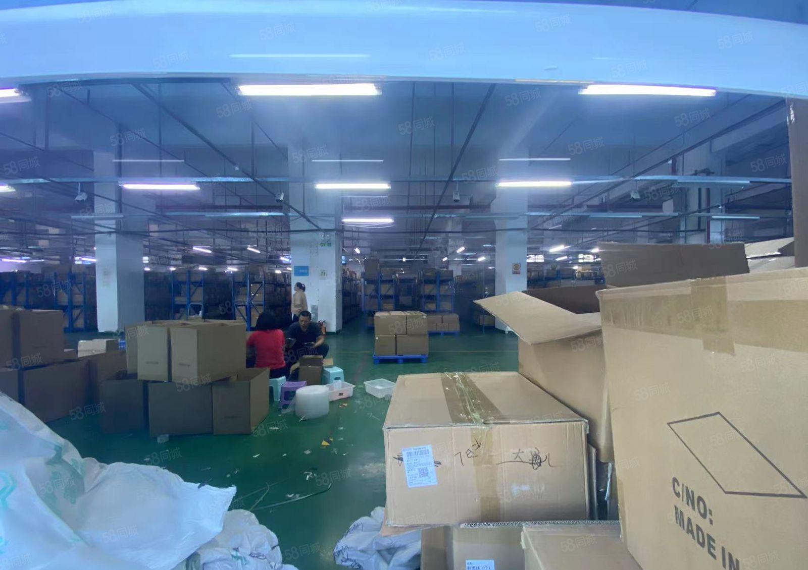 厚街新空出4200平方厂房出租仓库出租可分租1000平方