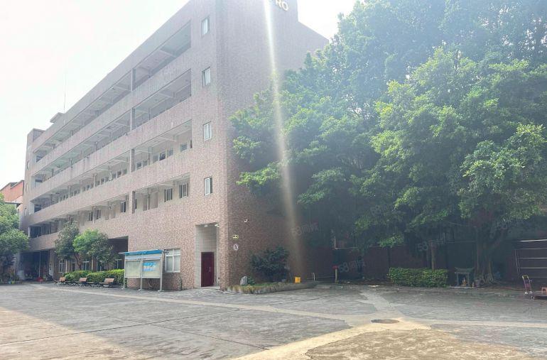 东莞厚街下只能汴原房东独门独院厂房出租，拎包生产