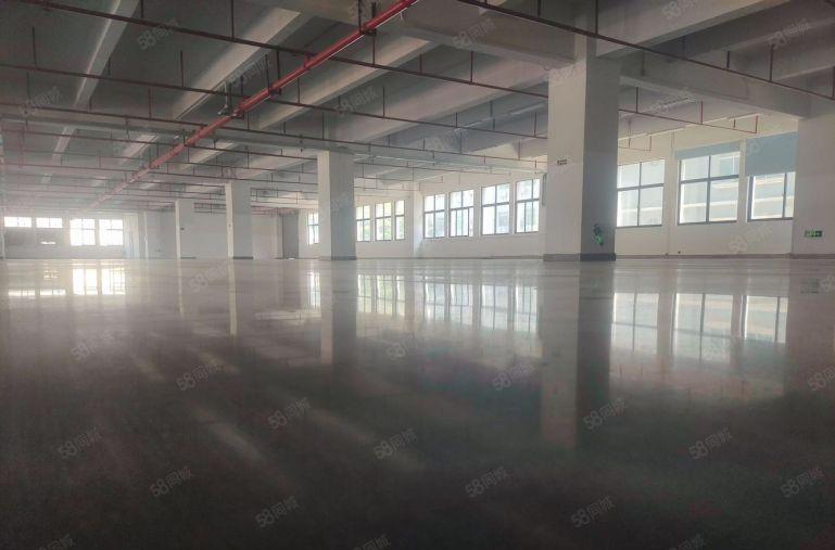 厚街镇 三屯园区楼上10块钱厂房1000平起分水电齐全精装修