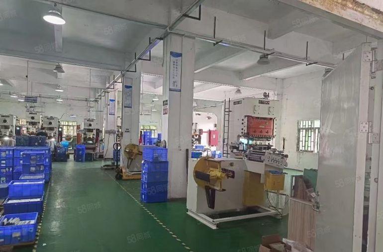 厚街现成装修空地超大厂房方正光线好大路边独门独院厂房