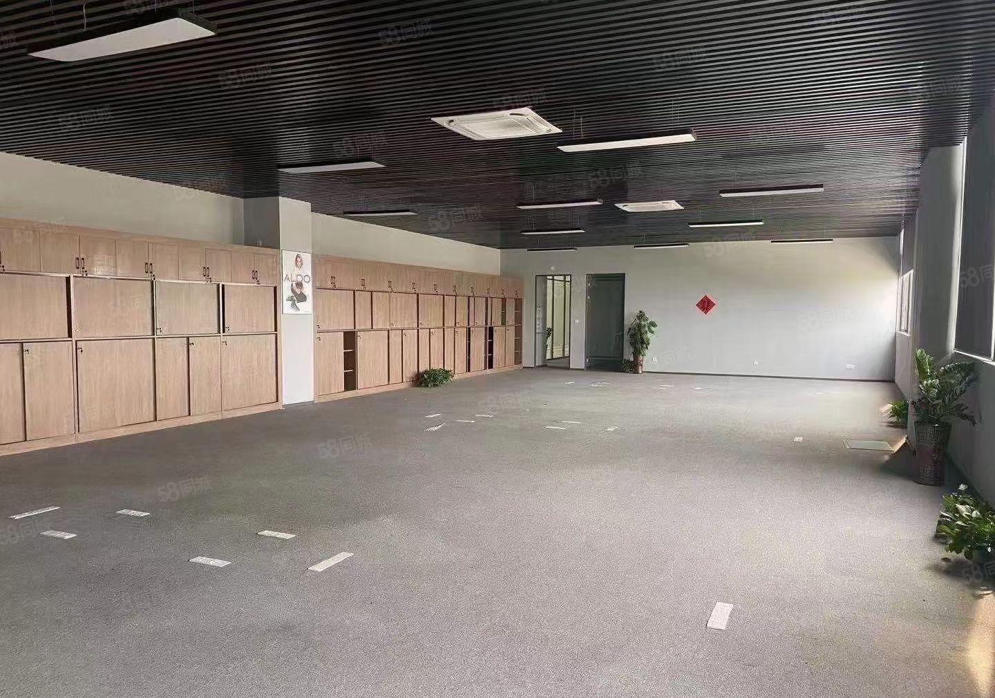 厚街原房东直租2400平方精装修水电齐全全新厂房