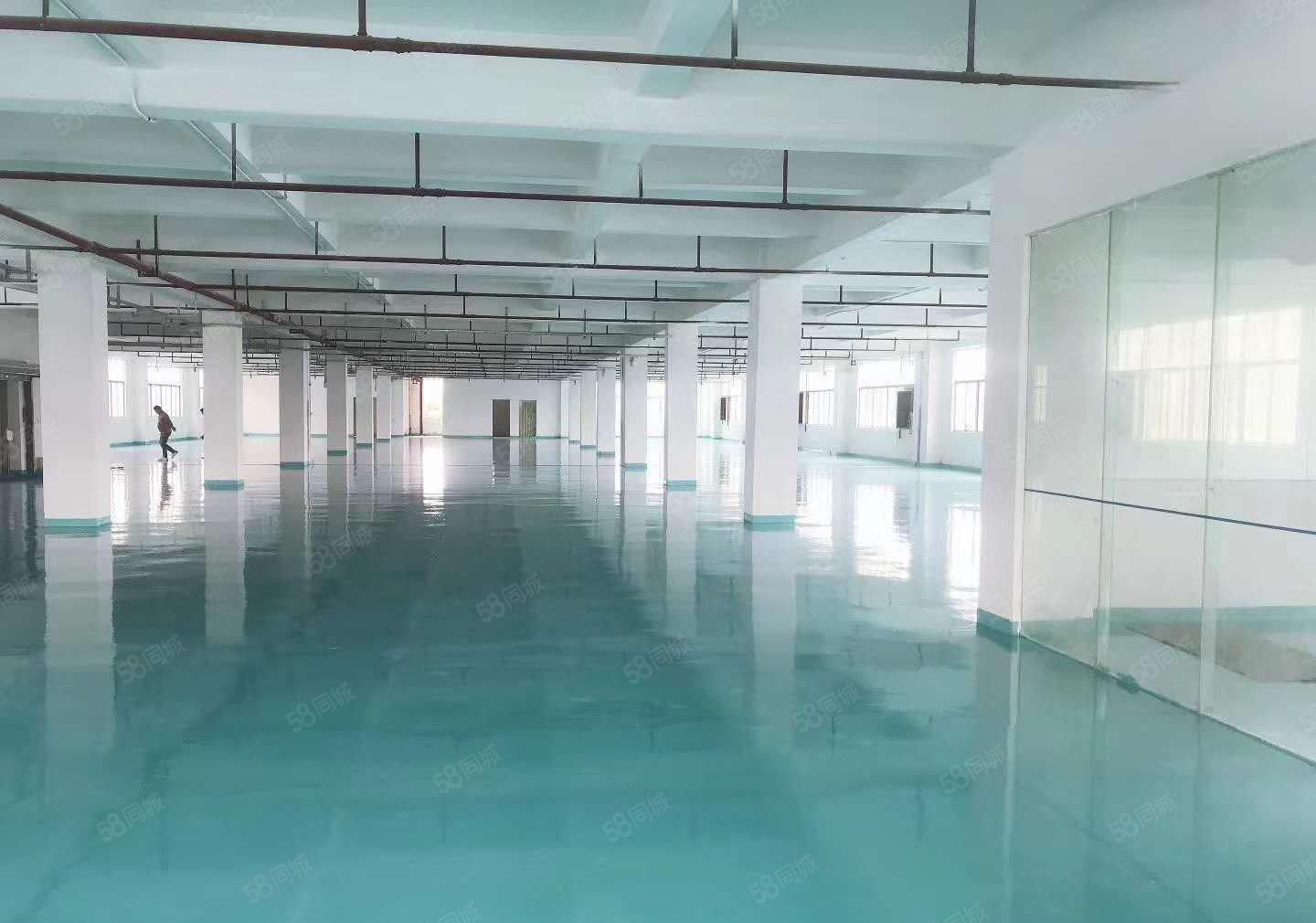 沙田原房东精装修无尘车间1150平低价招租交通方便