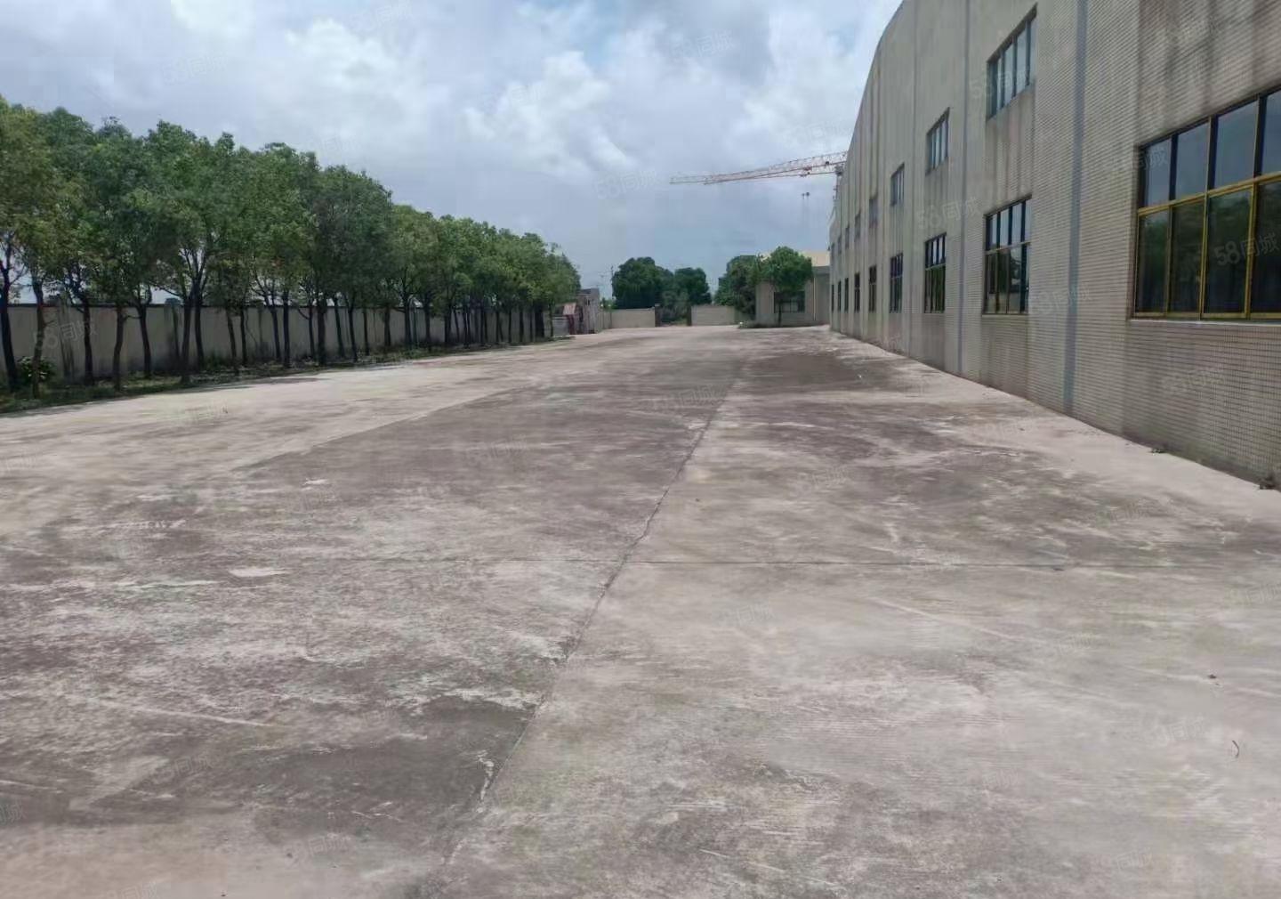 低价独门独院钢构工业厂房仓库出租十米高交通方便周边配套齐全