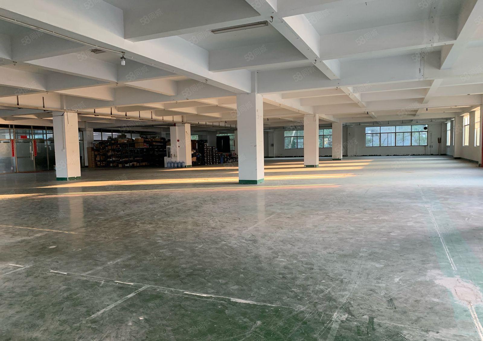 厚街汀山原房东工业园1500平方实际面积厂房出租仓库出租