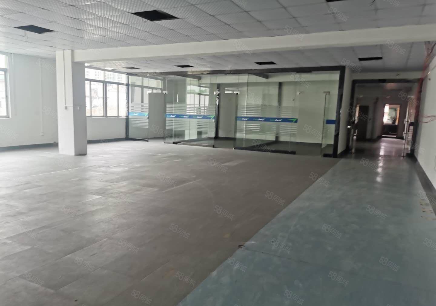 厚街新出原房东1350平方精装修水电齐全