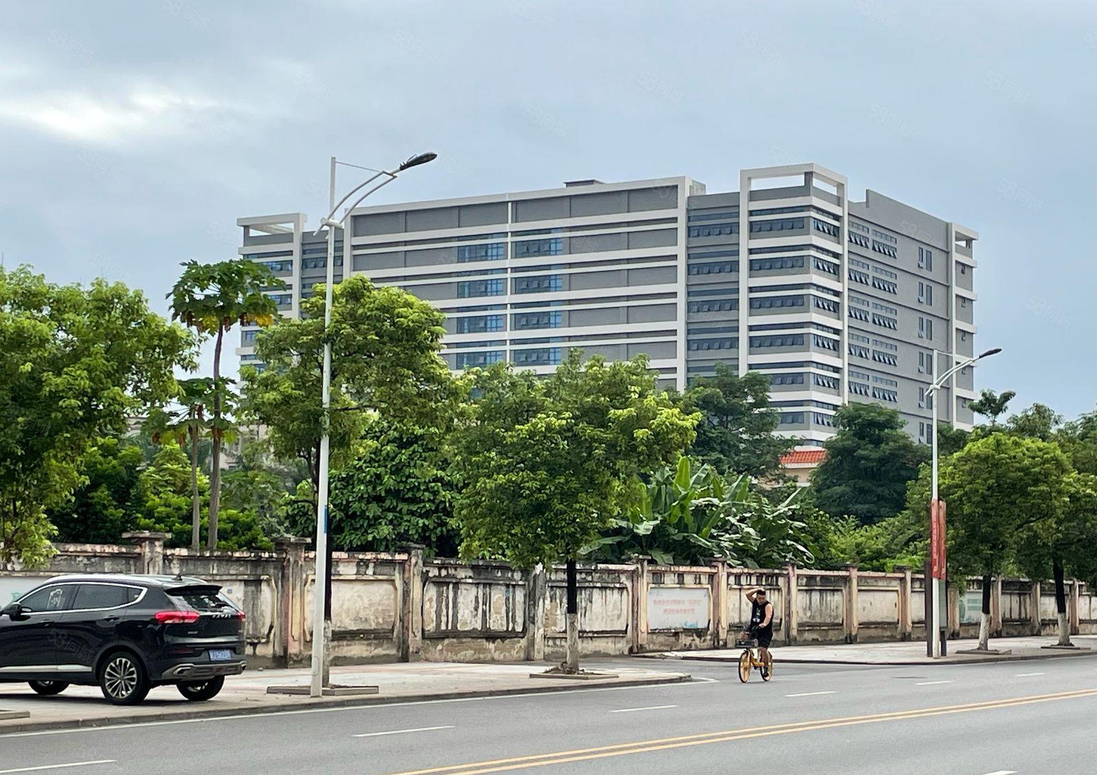 厚街全新红本独院厂房9万平方，大小可分租