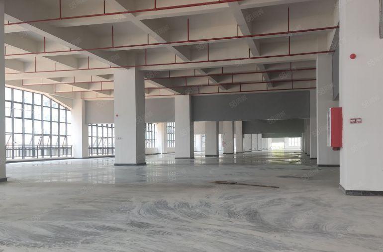 红本怡昌智慧谷湾区产业革新 智造赋能未来厂房正火热招商中