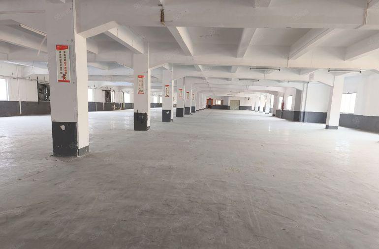 厚街新出两层2400平米，现成精装修！水电齐全！内含办公室！