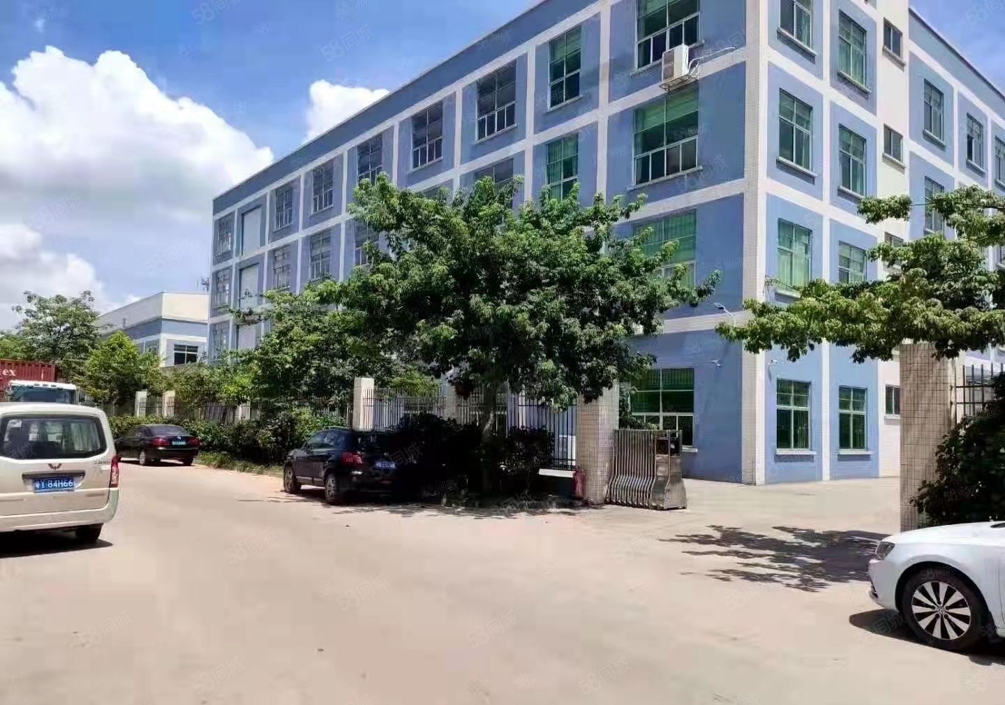 厚街花园式独门独院厂房仓库出租12000平方大小可分租带装修