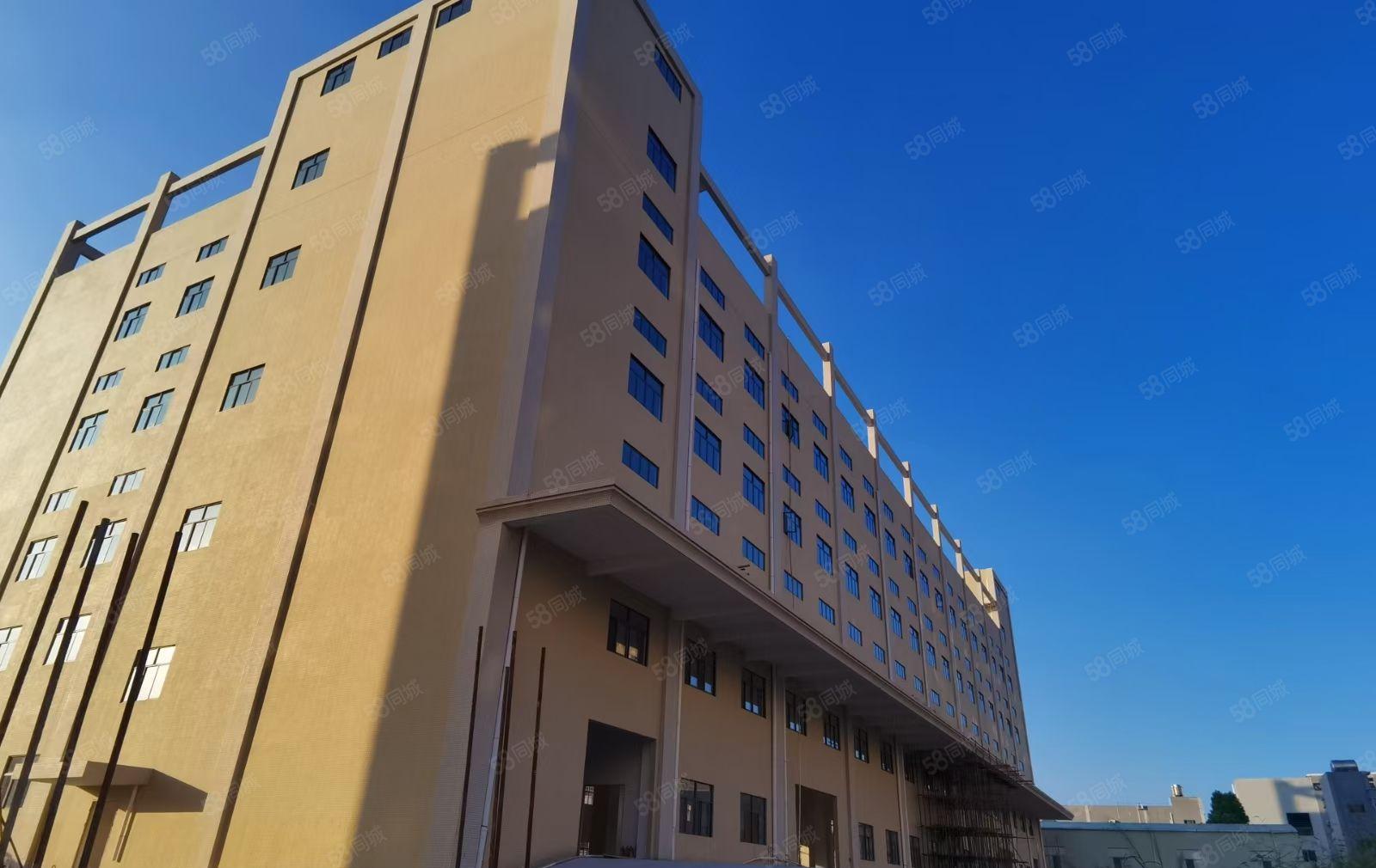 9米高全新红本独院厂房仓库四层14000方